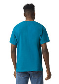 GIL5000-AS254-1