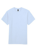 GILH000-CH22G-2