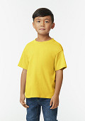 GIL65000B